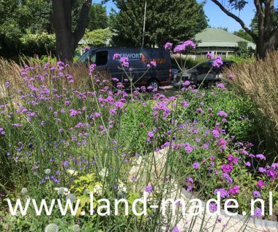 Landmade AudreyCoert tuinontwerp prairietuin juni 2
